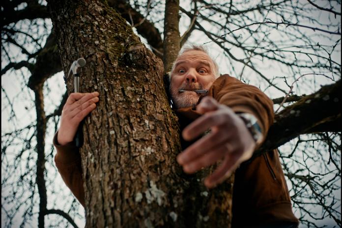 Šventinis pasiruošimas tęsiasi – Giedrius lipa į medį kabinti namelio sugrįžtantiems paukščiams.